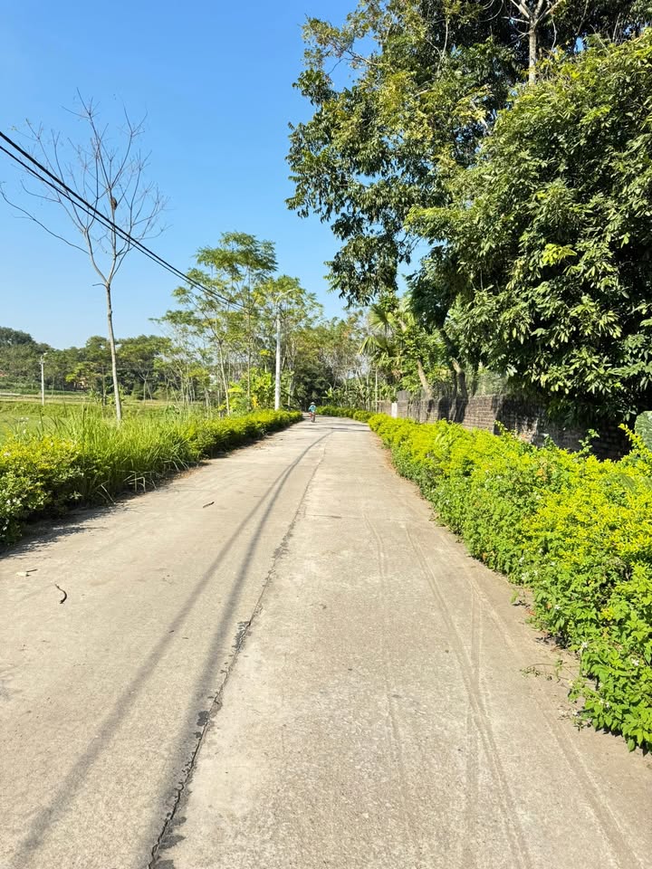 Đất thổ cư 1000m² tại Xuân Lôi, Lập Thạch - Mặt tiền 27m, giá thỏa thuận!