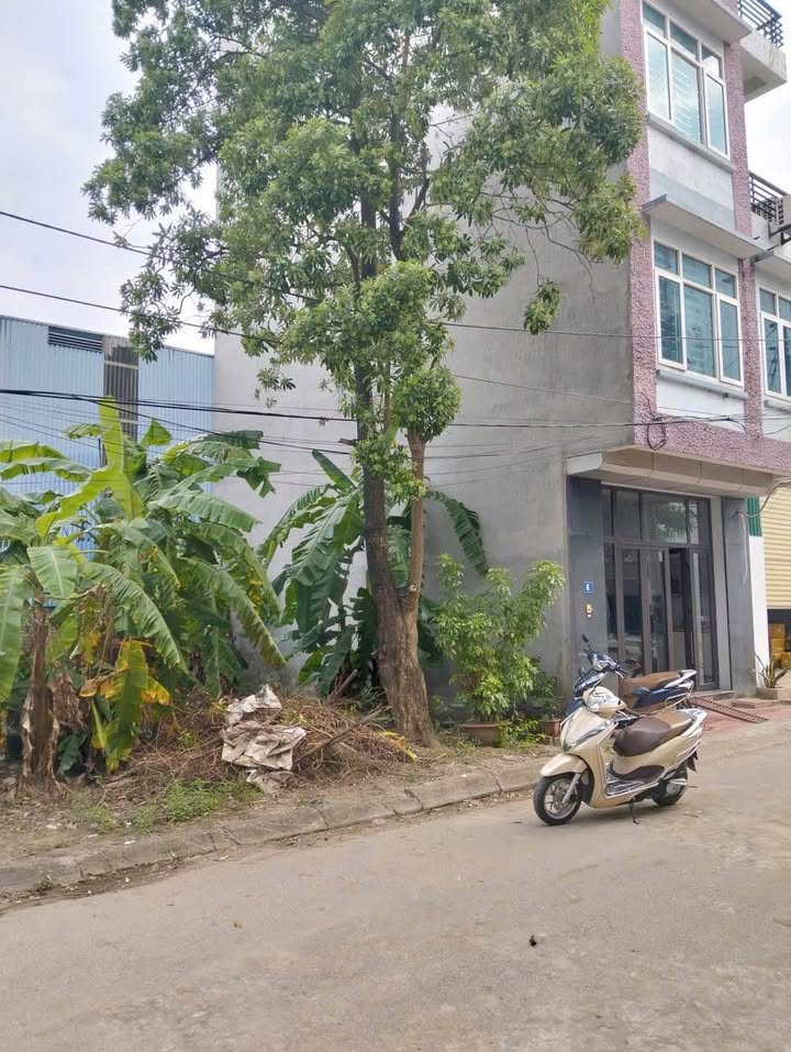 Bán đất dịch vụ Ngõ 79, Tân Tây Đô 48m² giá 7 tỷ - Sổ đỏ chính chủ, mặt tiền 4.23m!