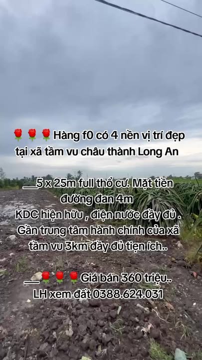 Đất nền Tầm Vu Châu Thành 125m² giá 360 triệu - Vị trí đẹp, thổ cư đầy đủ!