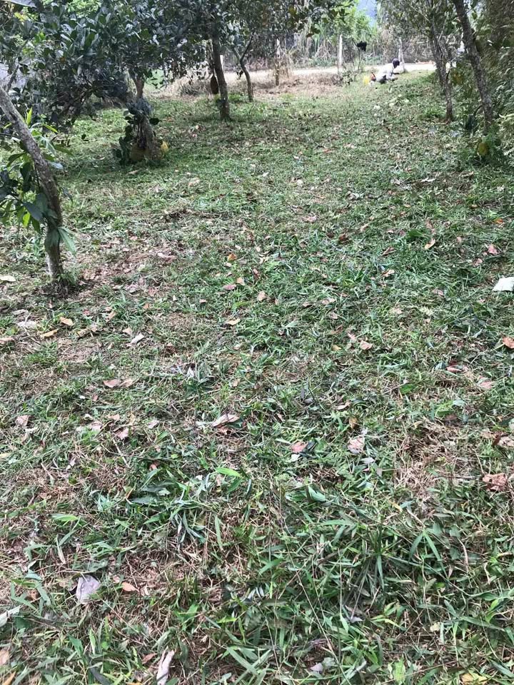 Đất nền Xuân Thủy - Yên Lập 260m² giá thỏa thuận - Sổ đỏ chính chủ!