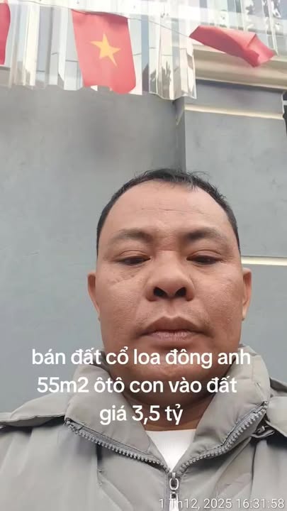 Đất Cổ Loa Đông Anh 55m² giá 3.5 tỷ - Đường ô tô vào tận nơi!