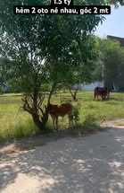 Bán đất ODT Hẻm 271 Thống Nhất, Phường Tân Thiện, 158m² chỉ 1.5 tỷ - Vị trí đắc địa!