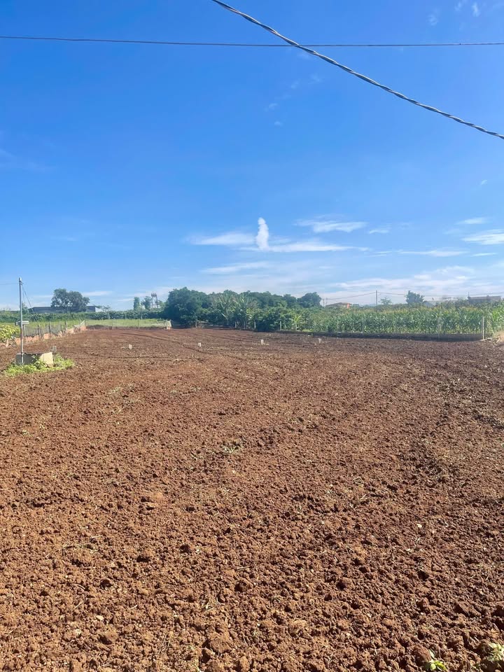 Đất nền Tân Hội Đức Trọng 155,9m² giá chỉ 620 triệu - Cơ hội đầu tư vàng!