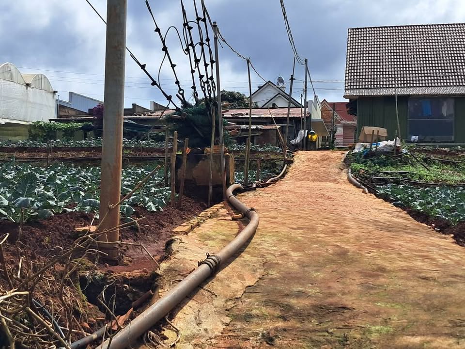 Đất nông nghiệp 3100m² tại Đà Lạt - Sổ đỏ chính chủ chỉ 1.85 tỷ!