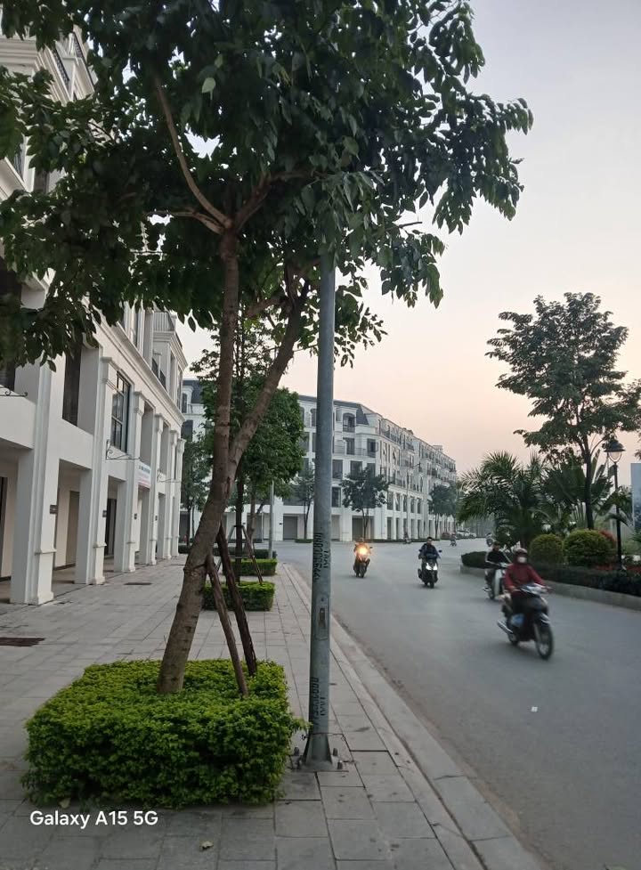 Bán căn liền kề đường 33m quận Ba Đình 100m² giá chỉ 22 tỷ - Đầu tư sinh lời ngay!