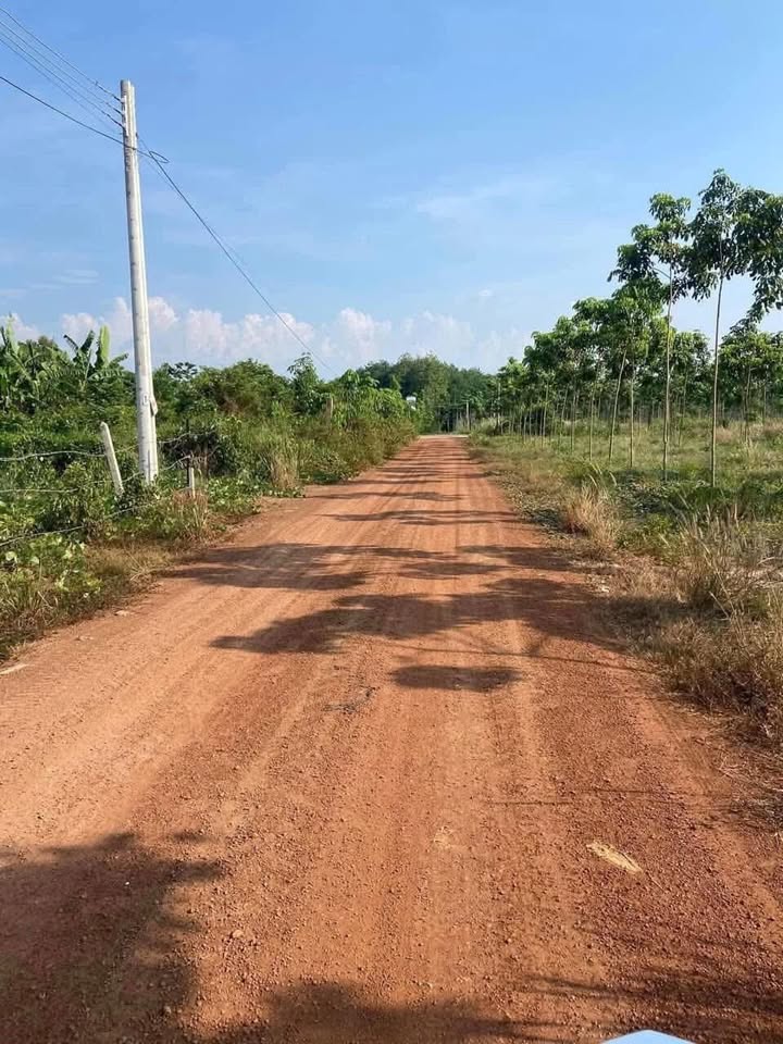 Đất nền An Bình 36, Phú Giáo 350m² giá 530 triệu - Đầu tư sinh lời ngay!