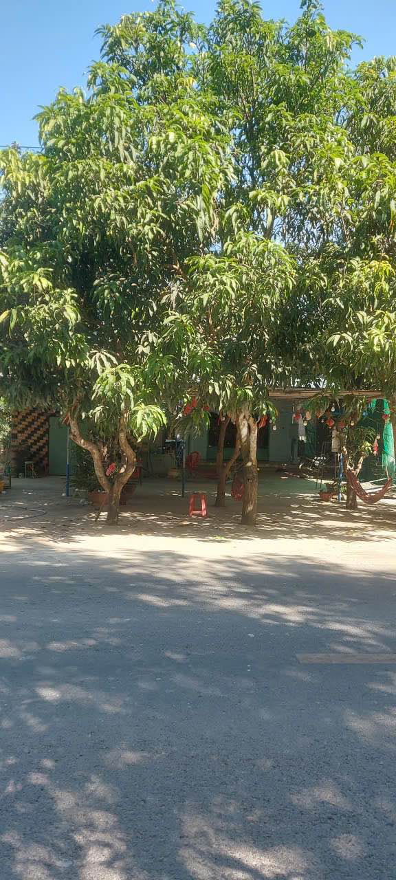 Nhà cấp 4 mặt tiền đường ĐT 797 Thạnh Bắc Tân Biên 5320m² - Đầu tư sinh lời ngay!