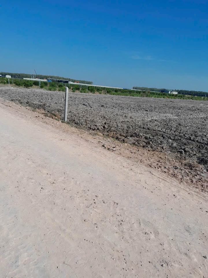 Đất liền kề Mỏ Công Tân Biên 10890m² giá 100 triệu - Cơ hội đầu tư hấp dẫn!