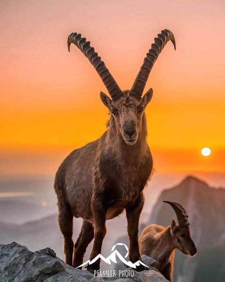 Đất 3 mặt tiền tại An Dương, Hải Phòng 1400m² giá 42 tỷ - Cơ hội đầu tư hiếm có!