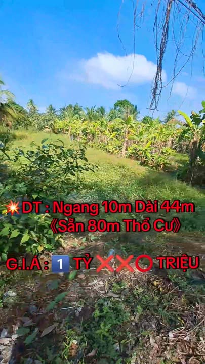 Đất nền Trường Xuân B 440m² giá 1.6 tỷ - Cơ hội đầu tư hấp dẫn!