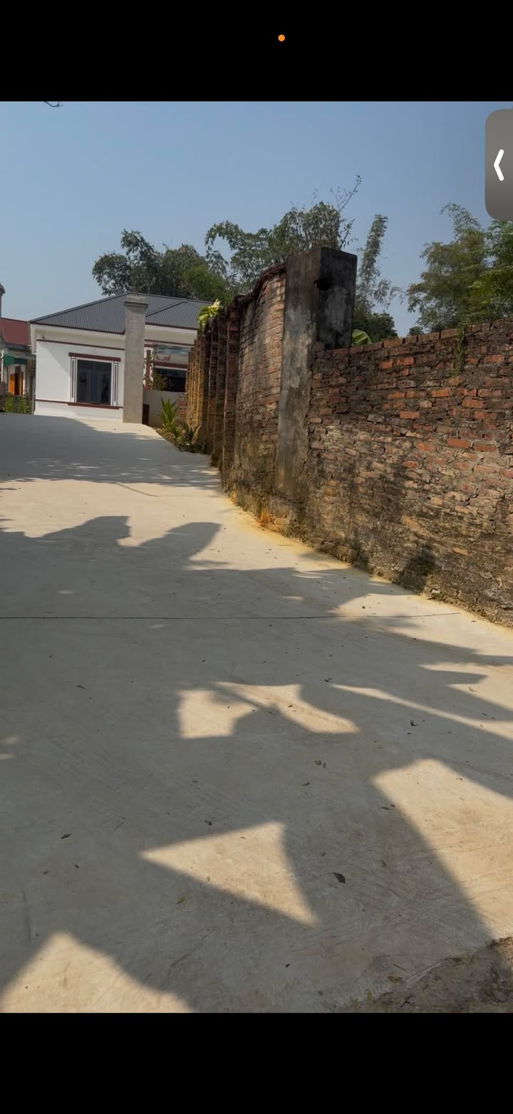 Đất nền Phương Lĩnh Thanh Ba 101m² giá 220 triệu - Cơ hội đầu tư không thể bỏ lỡ!