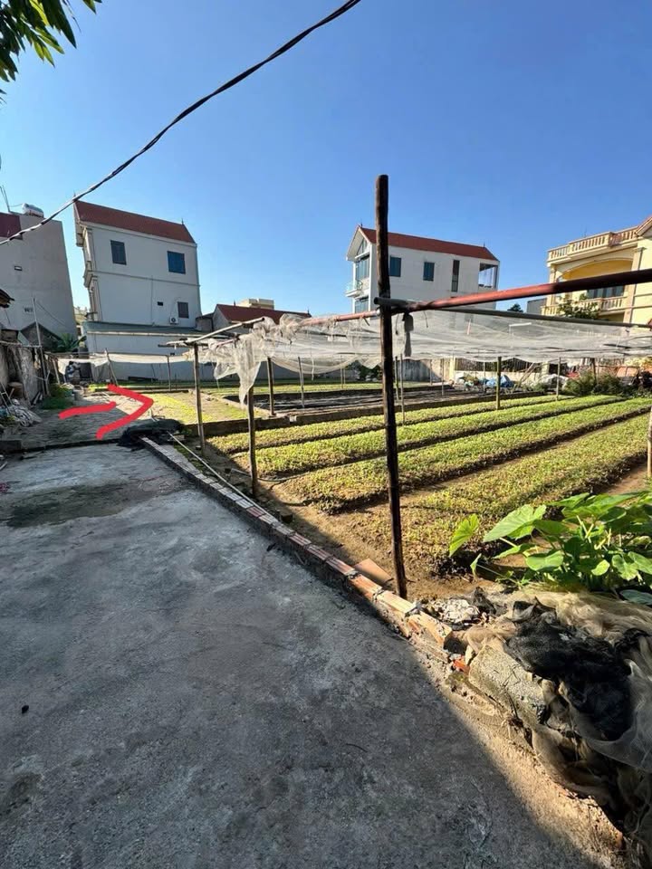 Đất đẹp Thư Phú - Thường Tín 56.7m² giá 2 tỷ - Đầu tư sinh lời nhanh!