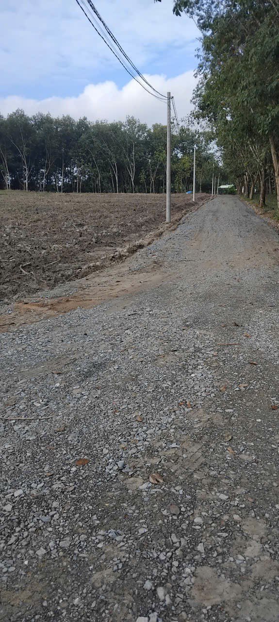 Đất nền Khu phố 11, Minh Hưng, 390m² giá tốt - Sổ đỏ chính chủ