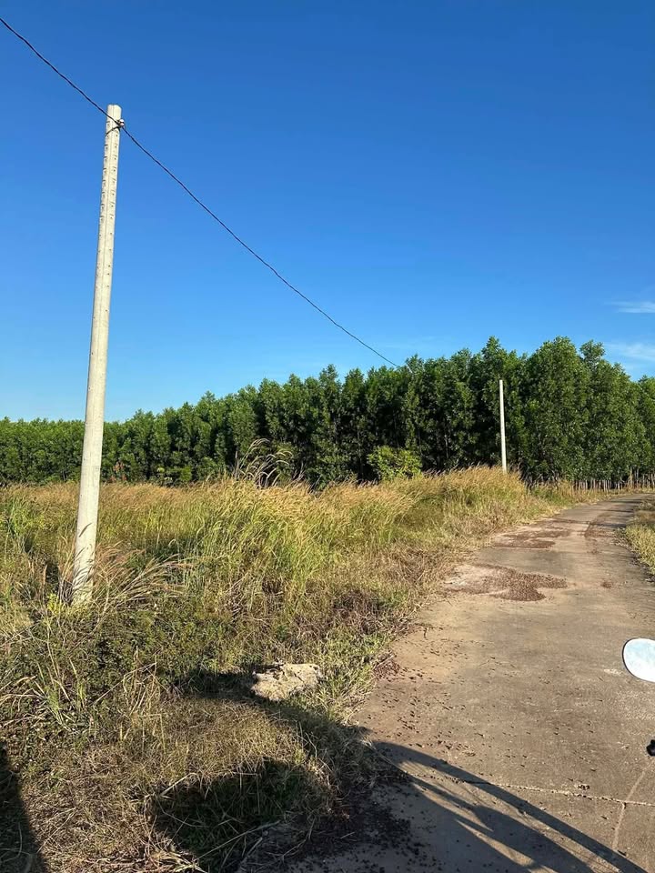 Đất nền Nha Bích 150m² giá chỉ 200 triệu - Đầu tư sinh lời ngay!