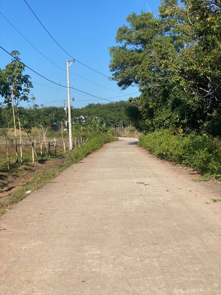 Đất nền Lộc Khánh 1062m² giá 220 triệu - Mặt tiền bê tông, sổ đỏ chính chủ!