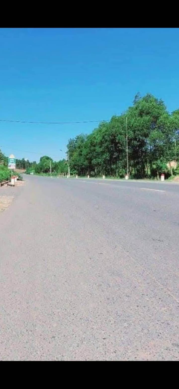 Đất mặt tiền Quốc lộ 9 - Cam Lộ 257m² giá chỉ 500 triệu - Đầu tư sinh lời ngay!