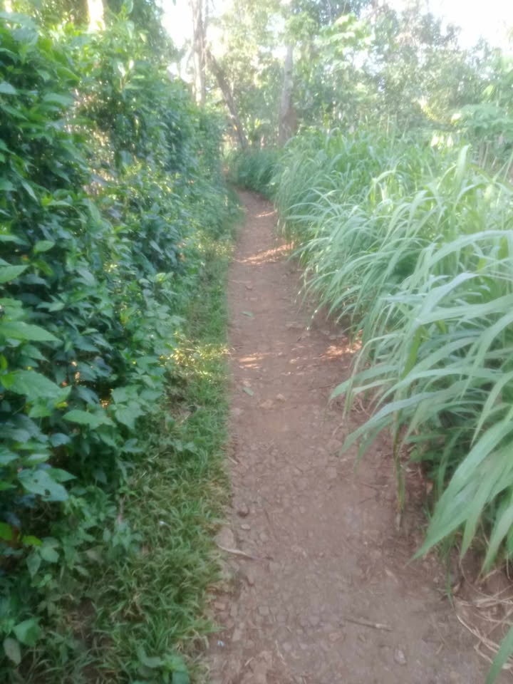 Đất thổ cư 95m² Cư Huê, Ea Kar - Giá chỉ 150 triệu, đầu tư sinh lời!