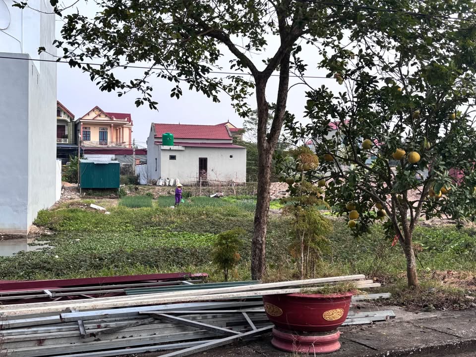 Đất nền Hậu Lộc Thanh Hóa 200m² - Đường hai mặt tiền, giá thỏa thuận!