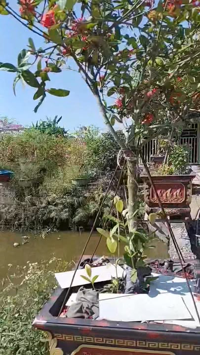 Đất liền kề tại Đông Long, Tiền Hải, Thái Bình - Diện tích 200m², giá thỏa thuận!