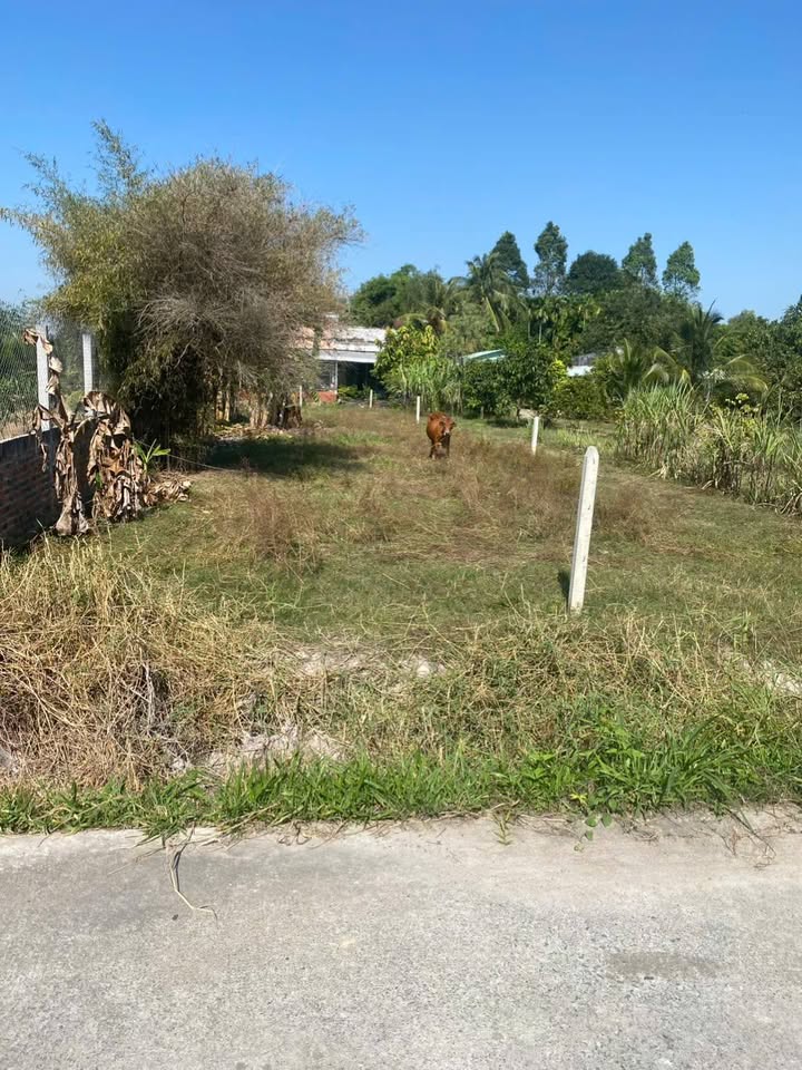 Đất thổ cư 500m² tại Đức Hòa, Long An giá 2.7 tỷ - Đầu tư sinh lời ngay!