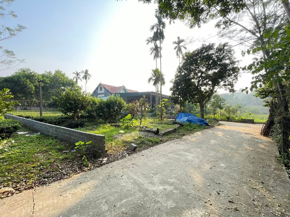 Đất nền Suối Hai, Ba Vì 479m² giá chỉ 2 tỷ - Đường ô tô vào tận đất!