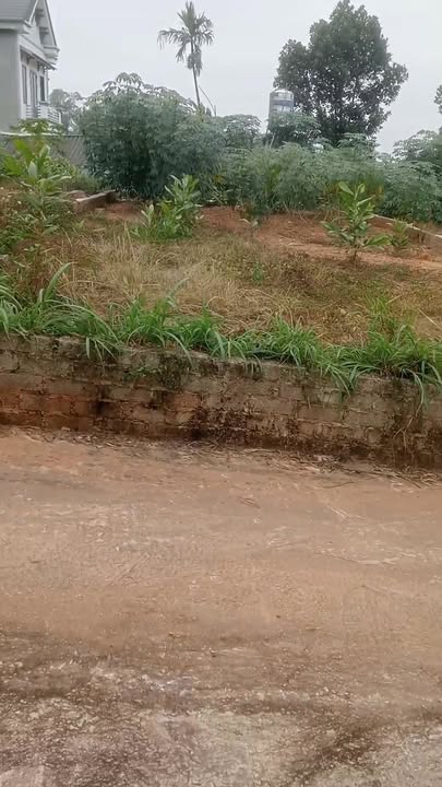 Đất nền An Dương, Tân Yên 131m² - Chính chủ bán gấp!