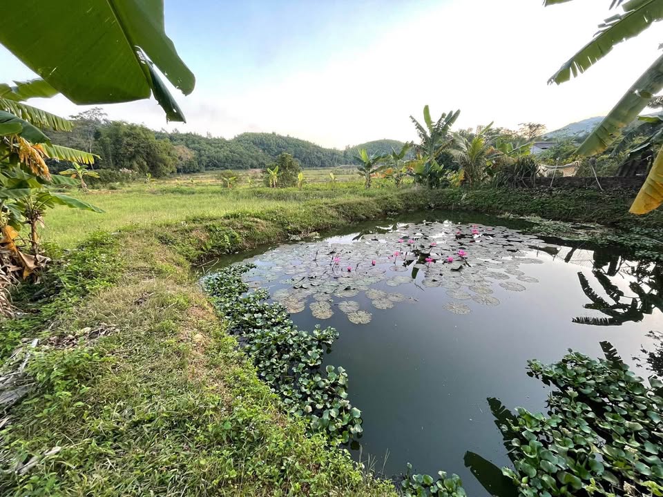 Nhà 2 tầng 19 phòng trọ Tân Thịnh Hòa Bình 200m² giá 3.5 tỷ - Kinh doanh ổn định!