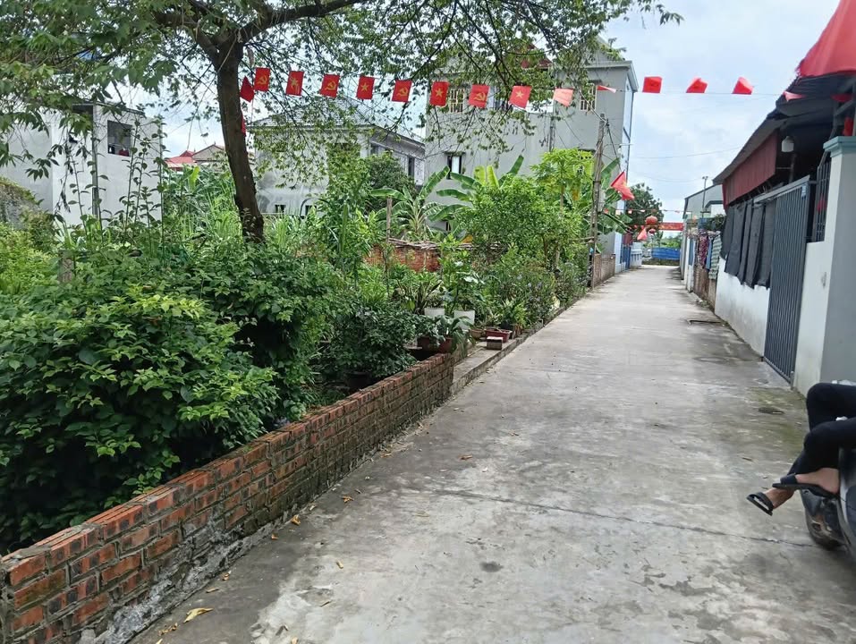 Đất thổ cư 100m² Mai Đình Sóc Sơn - Giá tốt gần sân bay Nội Bài!