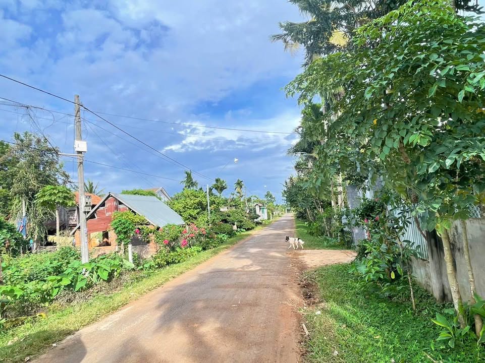 Đất nền đẹp tại xã Ea Tiêu, Cư Kuin 855m² giá 1.4 tỷ - Sổ đỏ chính chủ!