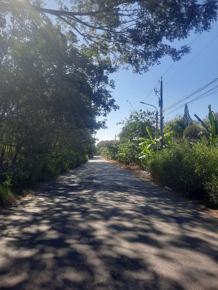 Đất nền An Bình, Phú Giáo 350m² giá 1.37 tỷ - Khu dân cư đông đúc, vị trí đẹp!