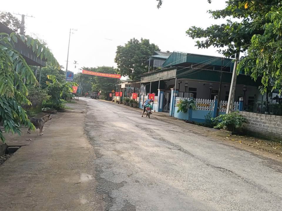 Đất nền góc Tỉnh lộ 506D, Thuận Minh, 170m² chỉ 500 triệu - Cơ hội đầu tư hấp dẫn!