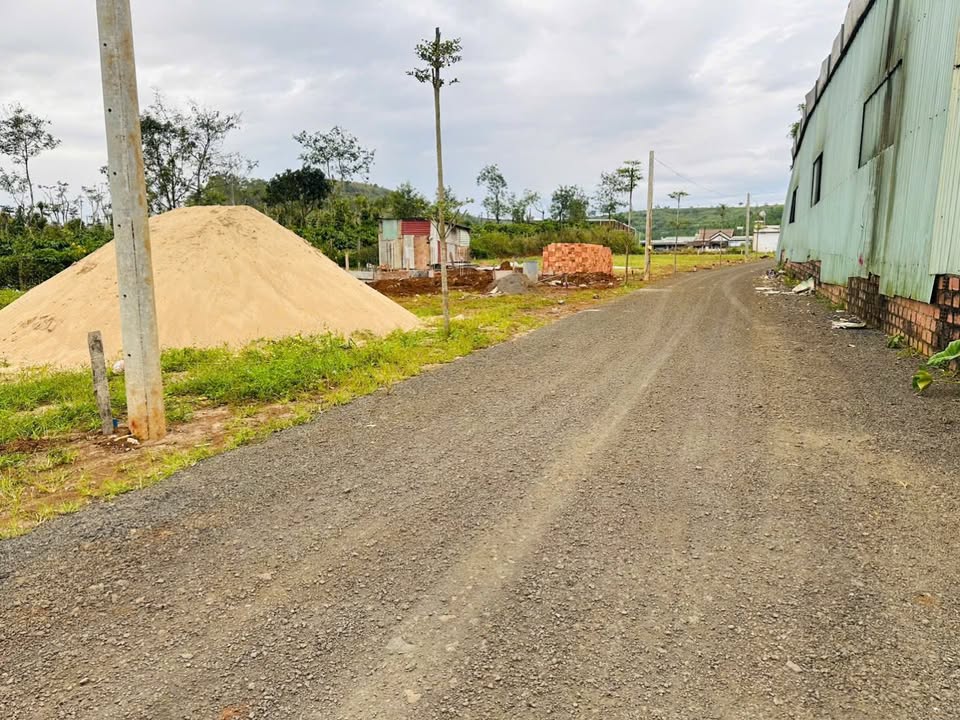 Đất thổ cư Lý Chính Thắng 125m² giá chỉ 5xx triệu - Đầu tư sinh lời ngay!