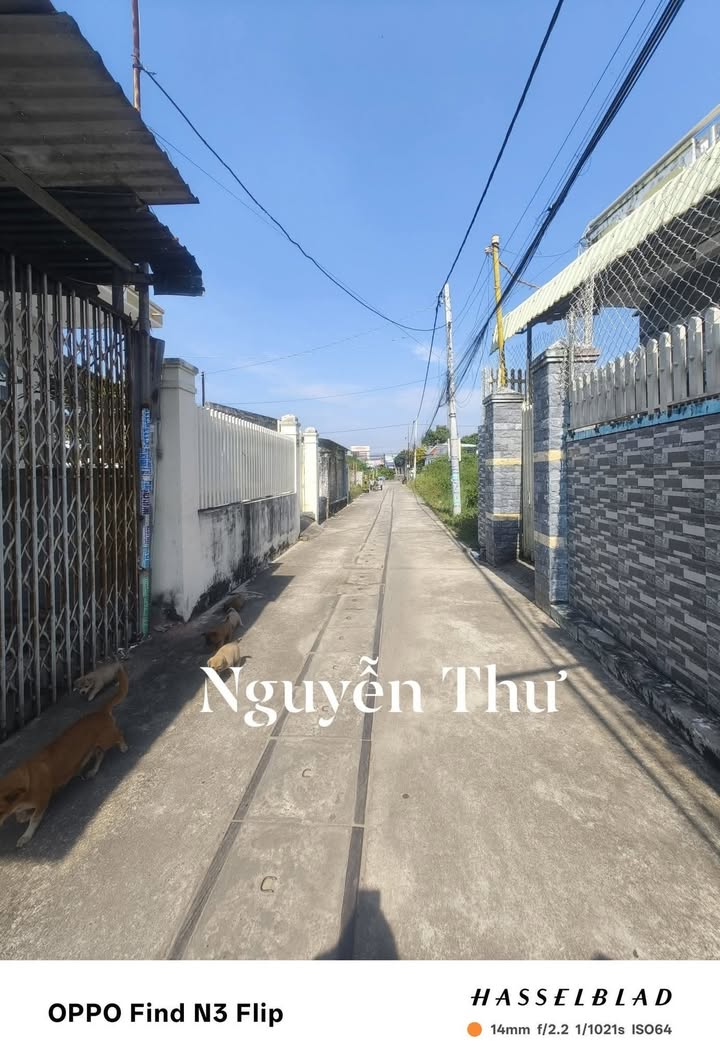 Đất nền Long Hải 50m² giá chỉ 1.65 tỷ - Gần biển chỉ 1.5km!