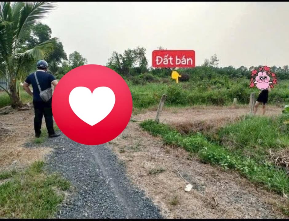 Đất vườn 600m² 2 mặt tiền Thạnh Hòa, Bến Lức giá chỉ 330 triệu - Pháp lý rõ ràng!