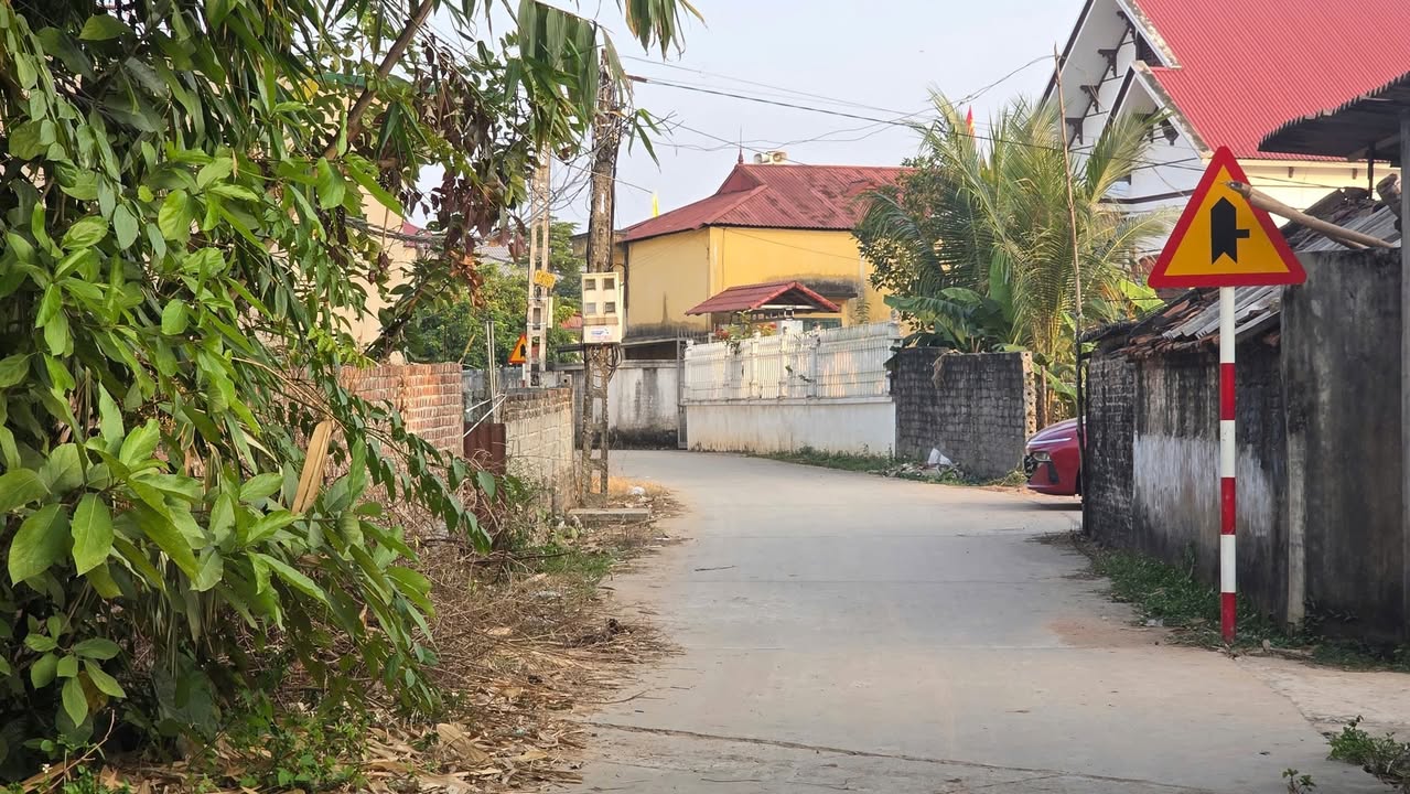 Đất thổ cư 131m² thôn Trung Tâm xã Hoàng Thanh - Đầu tư sinh lời chỉ 1 tỷ!