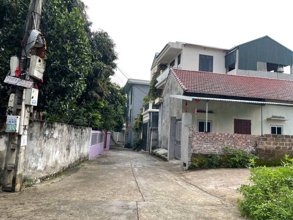 Đất nền Phường Thanh Miếu, Việt Trì 50m² giá 1.2 tỷ - Đường thông, xe ô tô tránh nhau!