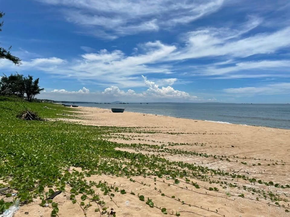 Đất mặt tiền Lạc Long Quân, Tiến Thành 9.000m² giá chỉ 17 triệu/m² - Cơ hội đầu tư tuyệt vời!