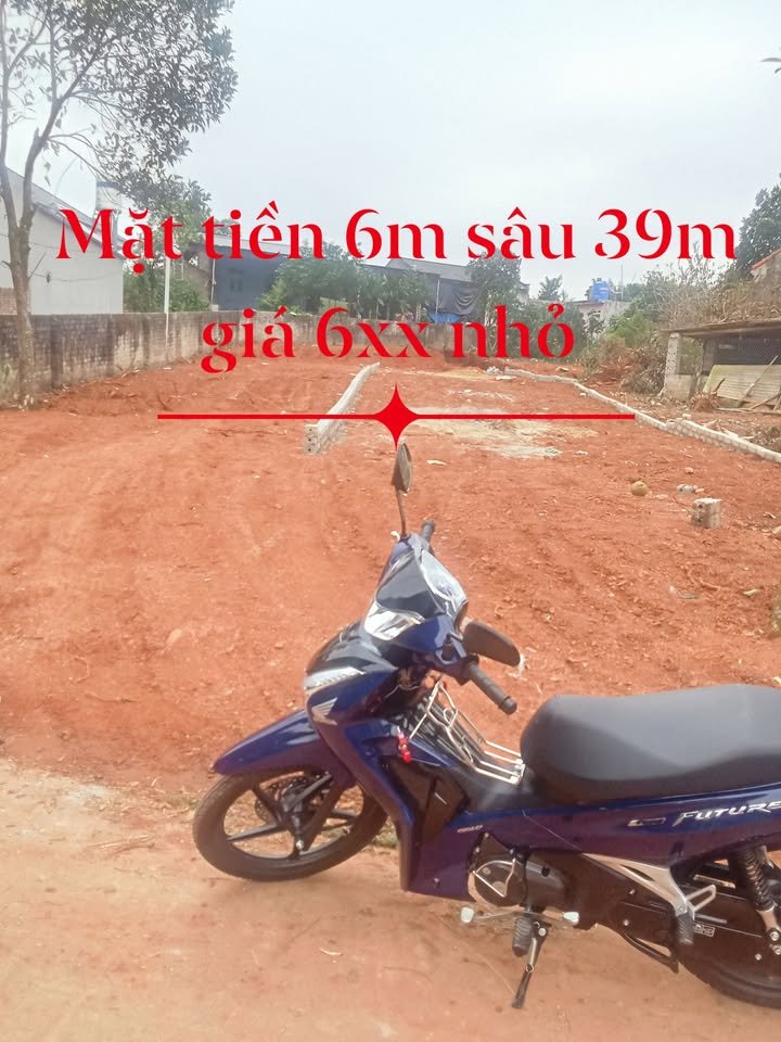 Đất nền 200m² xã Bảo Sơn, Lục Nam - Hướng Nam đẹp giá chỉ 600 triệu!