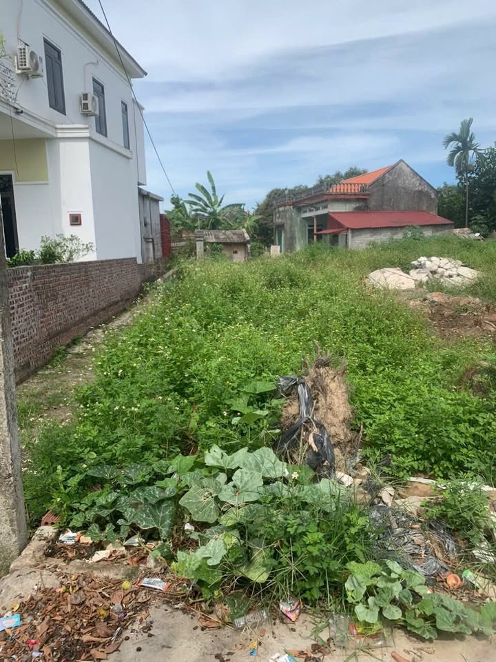 Đất nền 102m² thôn An Quý, Tứ Kỳ - Cơ hội đầu tư tuyệt vời!