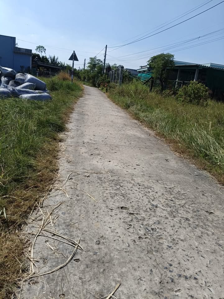 Đất nền Tân Đông 2526m² giá 1.1 tỷ - Mặt tiền rộng, giao thông thuận lợi!