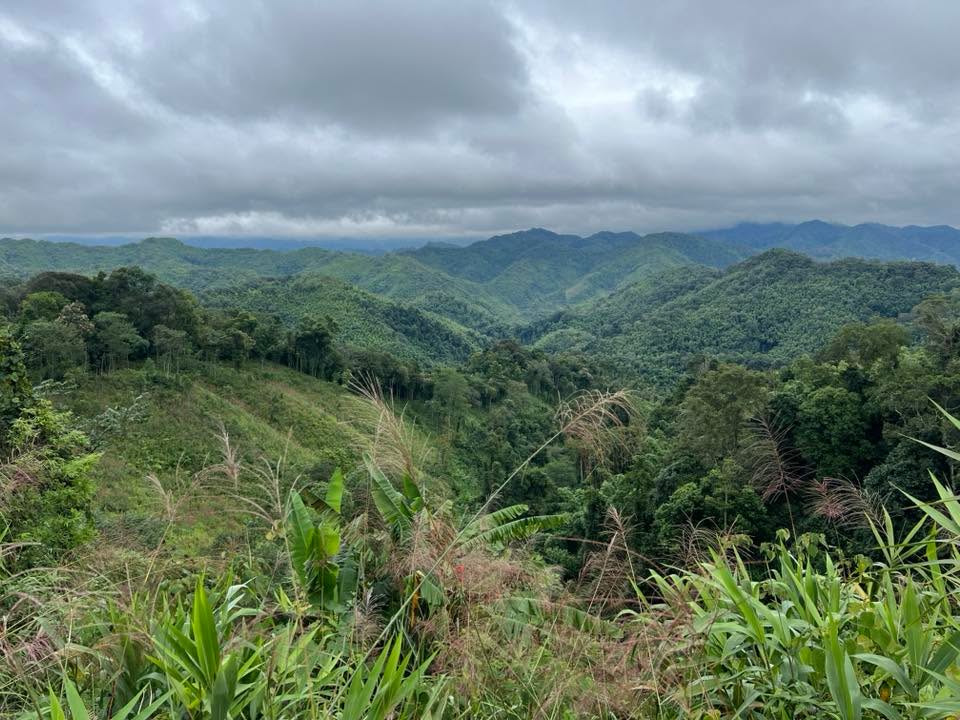 Đất rừng sản xuất 3,8ha tại Xuân Dương, Bắc Kạn - Giá thỏa thuận hấp dẫn!