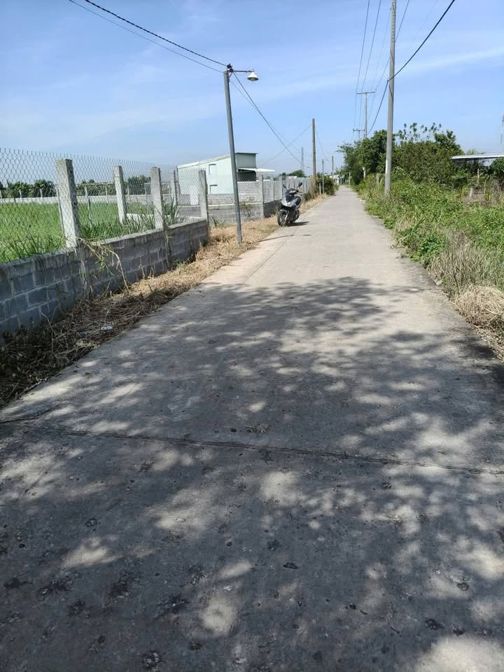 Đất nông nghiệp Nhị Thành Thủ Thừa 80.000m² giá 1.5 tỷ - Cơ hội đầu tư tuyệt vời!