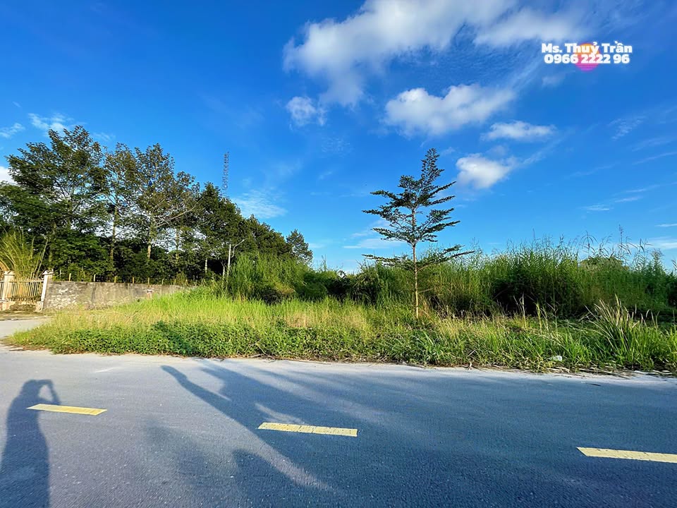 Đất nền KĐT Hoàng Tâm Cà Mau 338m² giá 6.487 tỷ - Tiềm năng sinh lời cao!