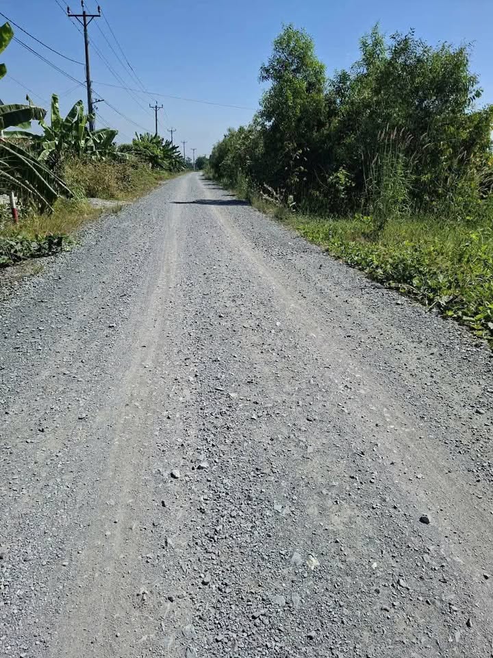 Đất vườn 665m² xã Thạnh Hòa, Bến Lức - Giá chỉ 550 triệu, đầu tư sinh lời!