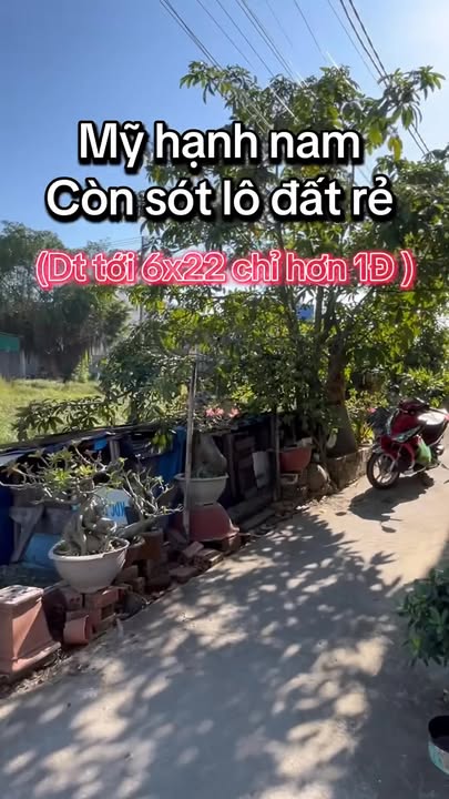 Đất nền Mỹ Hạnh Nam, Đức Hòa 132m² chỉ 1.15 tỷ - Đầu tư sinh lời ngay!