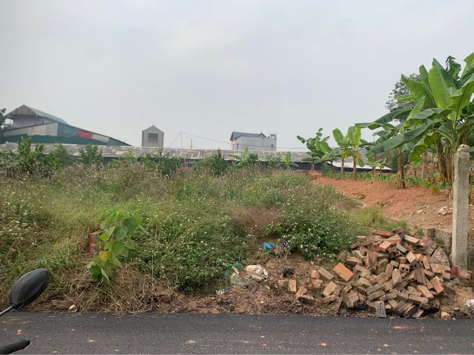 Đất nền Kim Long, Tam Dương 100m² giá 1 tỷ - Đầu tư sinh lời ngay!