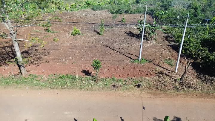 Đất thổ cư sát Uỷ Ban Xã Ea Drông, 250m², giá tốt cho nhà đầu tư!