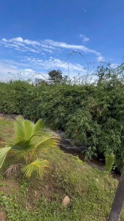 Đất nền Phú Xuân Krông Năng 2300m² giá 1.3 tỷ - View suối đá tuyệt đẹp!