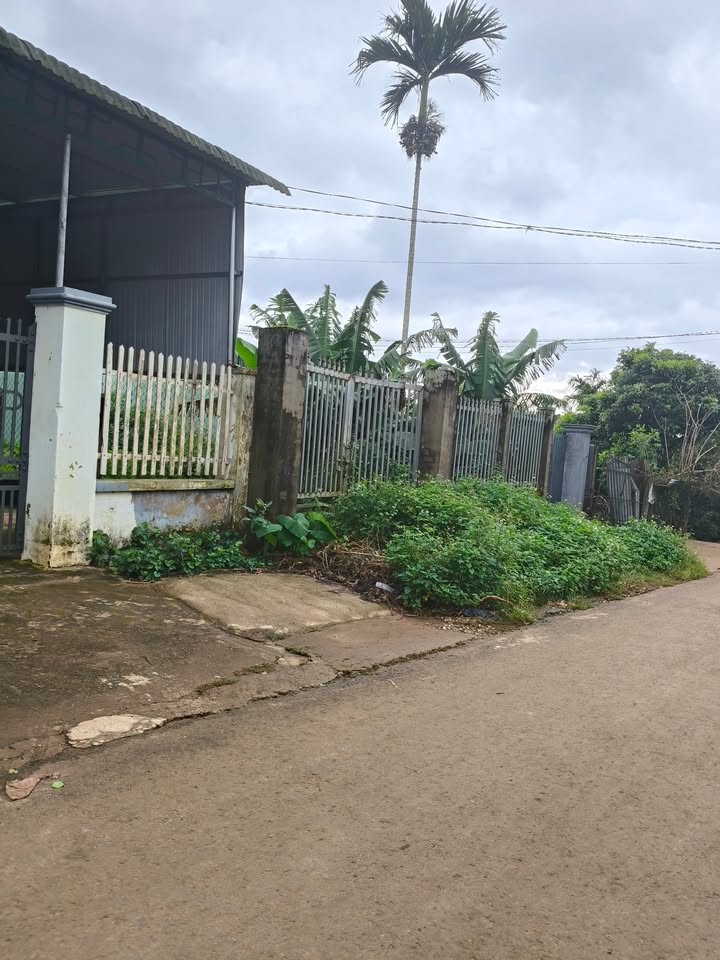 Đất mặt tiền Lê Hồng Phong, Pơng Drang 312m² giá 2.72 tỷ - Vị trí đắc địa thuận lợi!