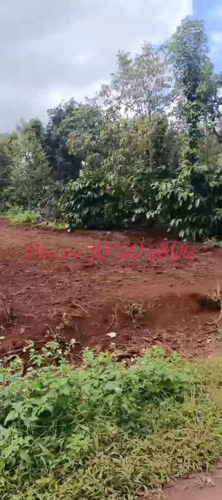 Đất nền chính chủ tại Buôn Hồ 240m² giá 1.18 tỷ - Cơ hội đầu tư tuyệt vời!